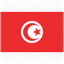 Tunisian flag