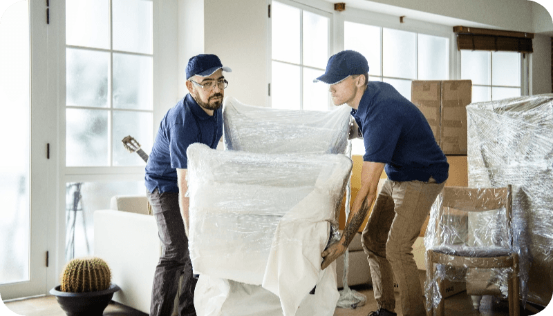 مساعدة في نقل